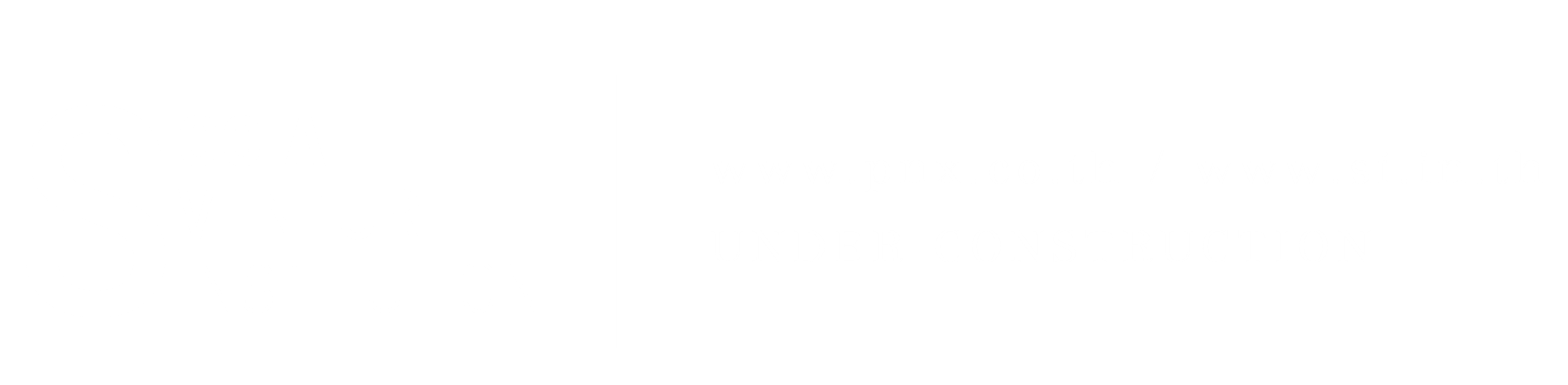 Social Venture Institution - Coming Soon!